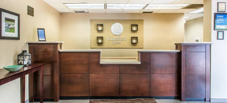 舒适套房酒店-近迪兰大学(Comfort Inn & Suites DeLand - Near University)图片