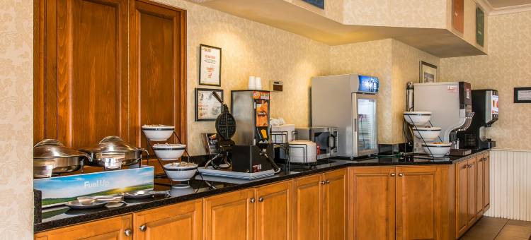 切尔西舒适酒店(Comfort Inn)图片