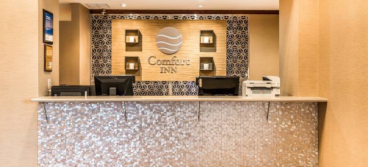 罗密欧维尔柏林布鲁克舒适酒店(Comfort Inn Romeoville - Bolingbrook)图片