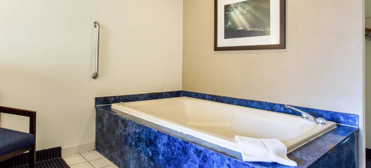 西北弗雷斯诺凯艺酒店(Quality Inn & Suites Fresno Northwest)图片