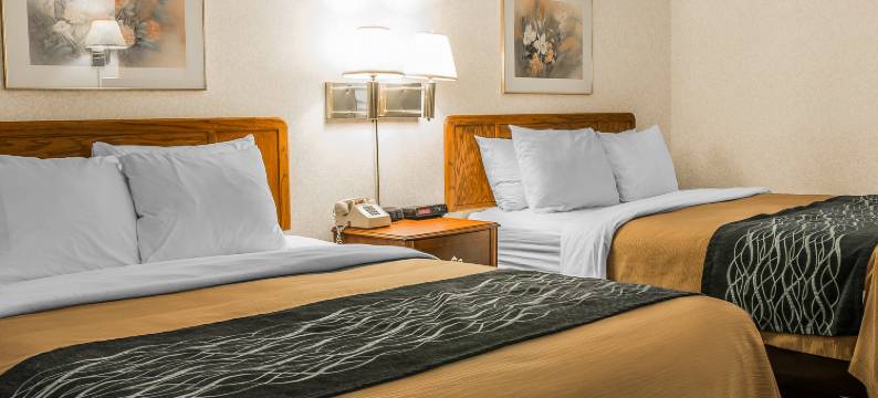 沙丘快捷酒店(Dunes Express Inn and Suites)图片