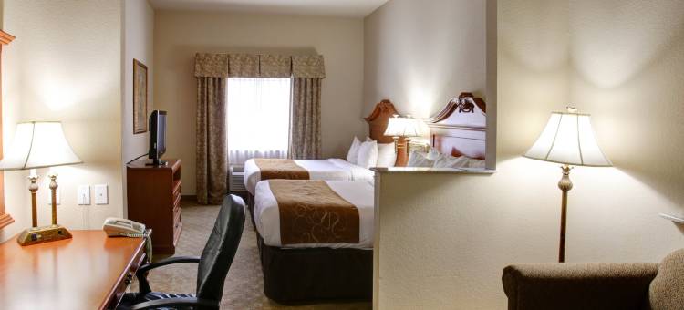 舒适套房酒店-近德州大学(Comfort Suites Near Texas State University)图片