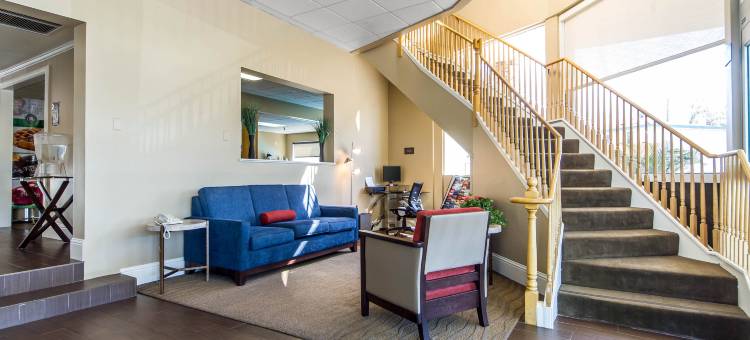 森尼维耳舒适酒店-硅谷(Comfort Inn Sunnyvale - Silicon Valley)图片