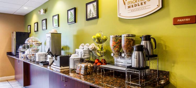 奥本校园区I-85舒眠套房酒店(Sleep Inn & Suites Auburn Campus Area I-85)图片