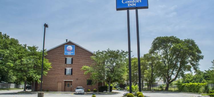 舒适酒店(Comfort Inn)图片