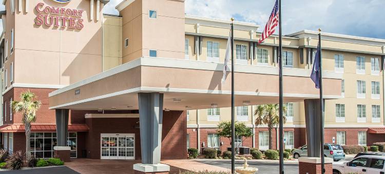 岩石丘曼彻斯特梅多斯区舒适套房酒店(Comfort Suites Rock Hill Manchester Meadows Area)图片