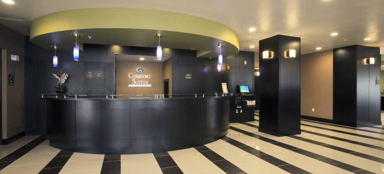 湖城舒适套房酒店(Comfort Suites Lake City)图片