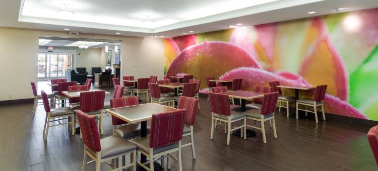 舒适酒店及套房，奥德萨I-20(Comfort Inn & Suites, Odessa I-20)图片