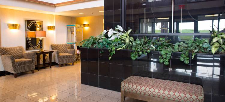 海蒂德鲁里套房酒店(Drury Inn & Suites Hayti Caruthersville)图片