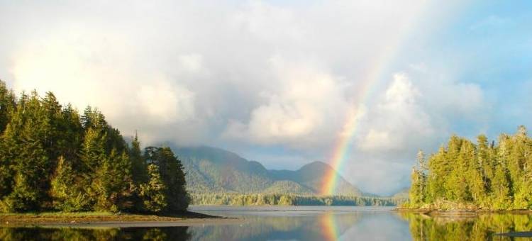 图芬诺泽德酒店(Hotel Zed Tofino)图片