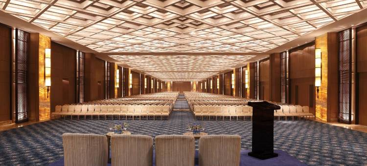 新德里利拉格调会议酒店(The Leela Ambience Convention Hotel Delhi)图片