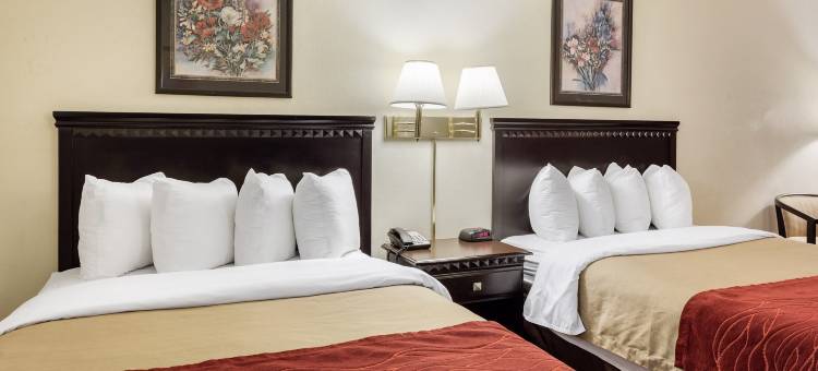 凯艺酒店(Quality Inn)图片