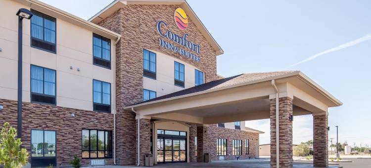 舒适套房酒店(Comfort Inn & Suites)图片