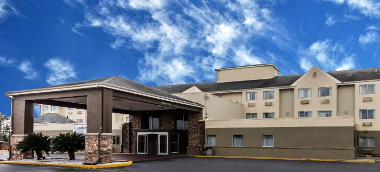 克里斯托运动中心舒适套房酒店(Comfort Inn & Suites Crystal Inn Sportsplex)图片