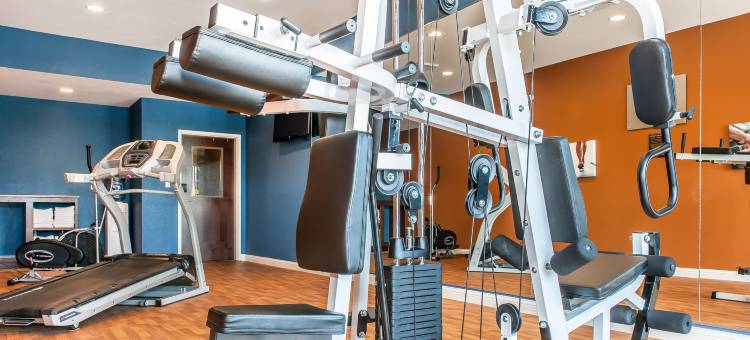 伦斯勒舒适套房酒店 - 近费尔奥克斯(Comfort Suites Rensselaer near Fair Oaks)图片