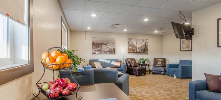 Chateau All Suites Hotel图片