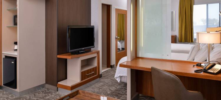 欧文韦恩机场/奥兰治万豪SpringHill酒店(SpringHill Suites Irvine John Wayne Airport / Orange County)图片