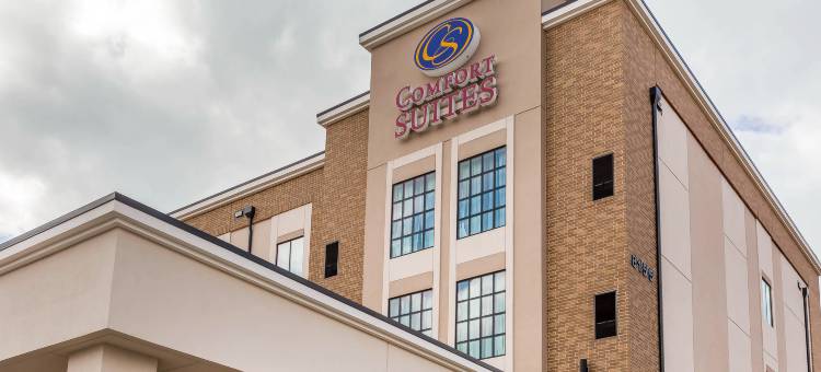 舒适套房靠近萨姆休斯顿赛马公园(Comfort Suites Near Sam Houston Race Park)图片