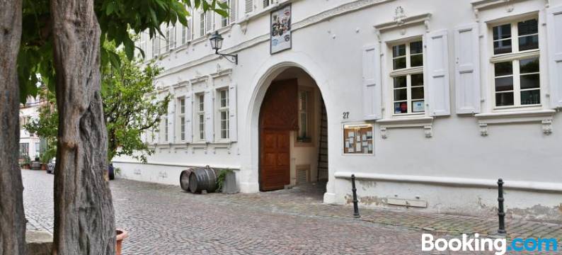 奥特斯坦德索夫弗赖因斯海姆酒店(Altstadthof Freinsheim)图片