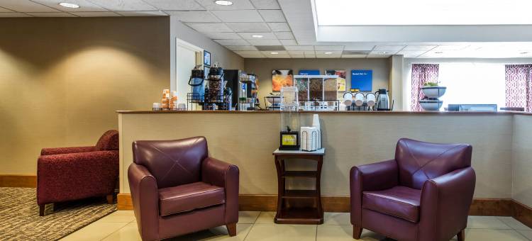 舒适套房酒店(Comfort Inn & Suites)图片