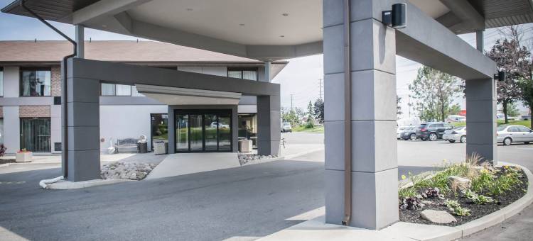 舒适酒店机场西(Comfort Inn Airport West)图片