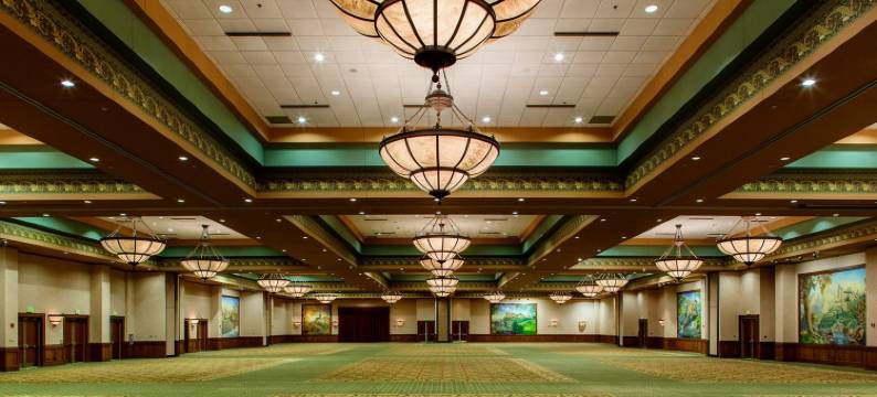 湖上度假酒店及会议中心(Chateau on the Lake Resort Spa and Convention Center)图片