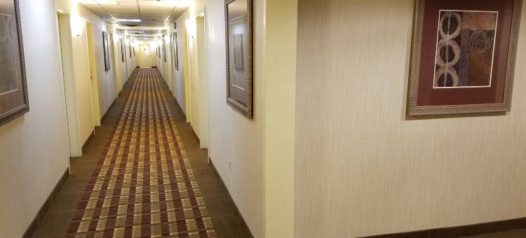 温莎洛克斯 戴斯酒店-布拉德利国际机场(Days Inn by Wyndham Windsor Locks / Bradley Intl Airport)图片