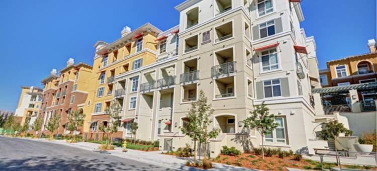 湾区站全球奢华套房酒店(Global Luxury Suites Baypointe Station)图片