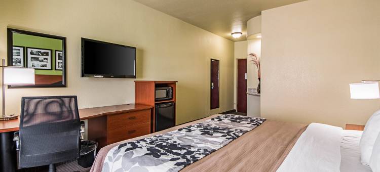 圣安东尼奥市海洋世界贝斯特韦斯特必住酒店(SureStay Plus Hotel by Best Western San Antonio SeaWorld)图片