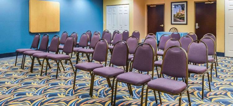 舒适套房酒店-坦帕布兰登(Comfort Suites Tampa - Brandon)图片