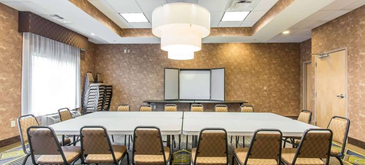 舒适套房酒店(Comfort Suites Smyrna)图片