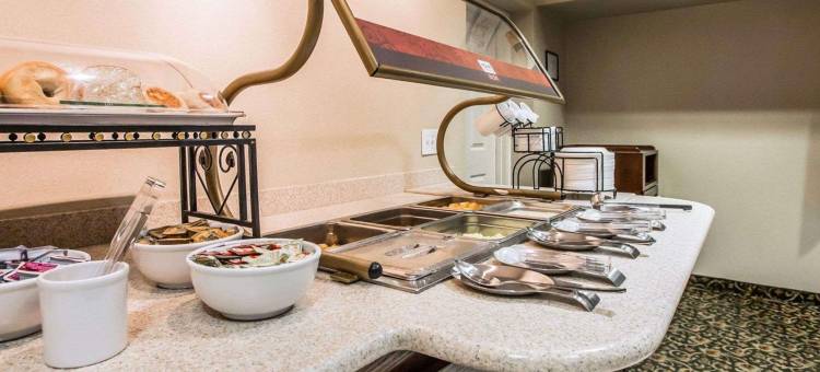 狄克逊凯艺套房酒店 - 近 I-88(Quality Inn & Suites Dixon Near I-88)图片