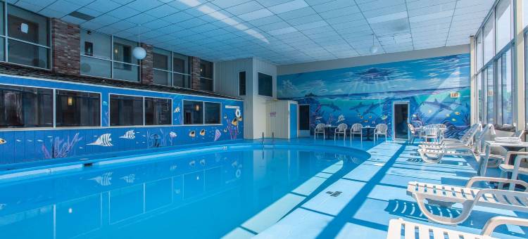 罗德威北酒店(Rodeway Inn North)图片