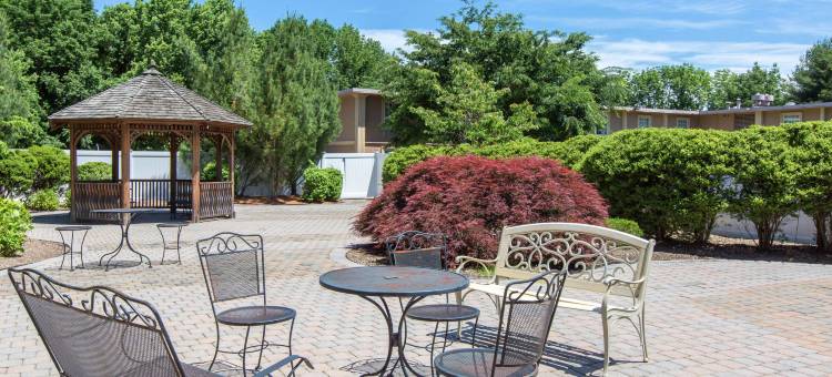 多佛-莱奇伍德品质酒店(Quality Inn Ledgewood - Dover)图片