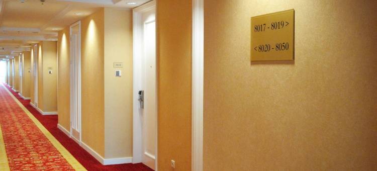 棉兰阿迪穆利亚酒店(Adimulia Hotel Medan)图片