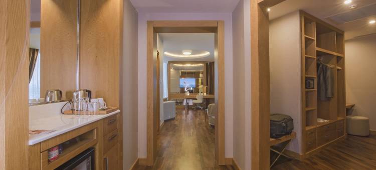 科尼亚温德姆华美达广场酒店(Ramada Plaza by Wyndham Konya)图片