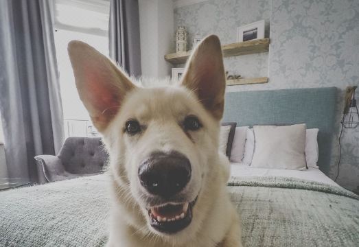 Antique House B&BHotel Overview