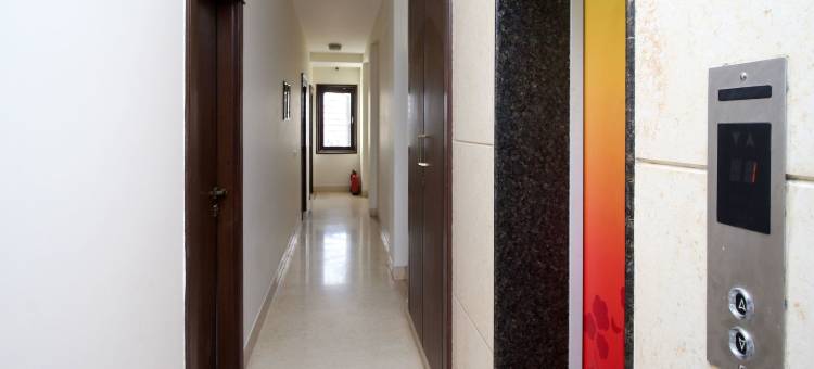 Collection O Sakshi图片