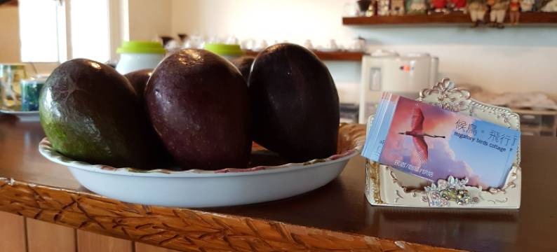 台东候鸟飞行民宿图片