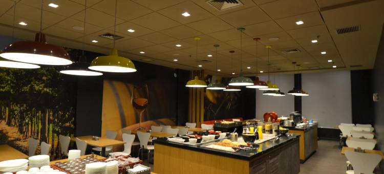 宜必思南卡希亚斯酒店(ibis Caxias do Sul)图片