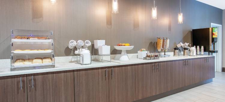 布法罗阿默斯特拉昆塔温德姆套房酒店(La Quinta Inn & Suites by Wyndham Buffalo Amherst)图片