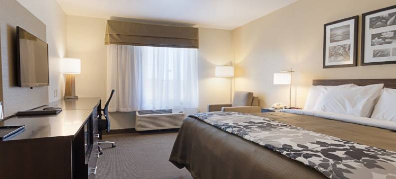 卡尔斯巴德洞穴区舒眠套房酒店(Sleep Inn & Suites Carlsbad Caverns Area)图片