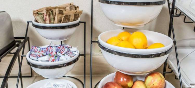 凯艺套房酒店(Quality Inn & Suites)图片