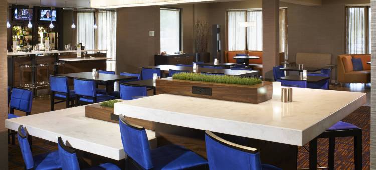 底特律-诺维索尼斯塔精选酒店(Sonesta Select Detroit Novi)图片