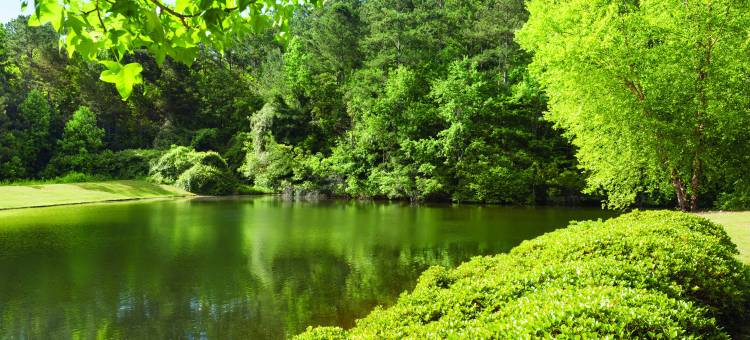 亚特兰大SW皇冠假日酒店 - 桃树市(Crowne Plaza Atlanta SW - Peachtree City)图片