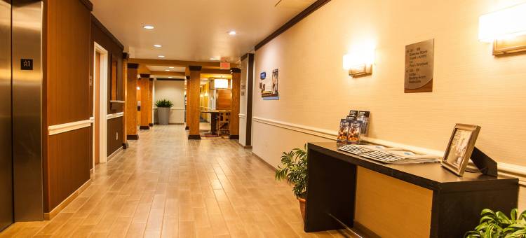 舒适套房酒店阿克伦南(Comfort Inn & Suites Akron South)图片