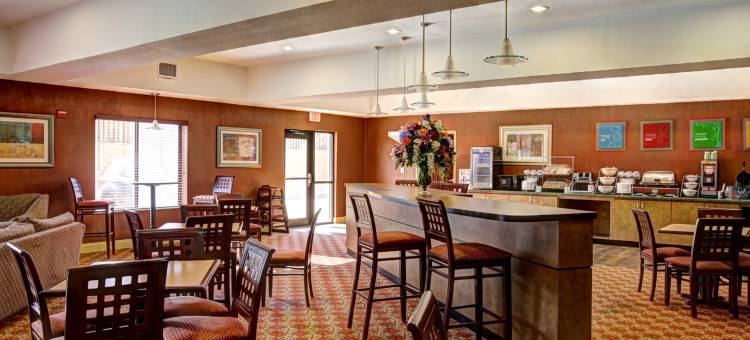 舒适套房酒店(Comfort Suites)图片