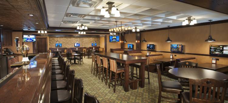 Holiday Inn 国家机场/水晶城(Holiday Inn National Airport/Crystal City)图片
