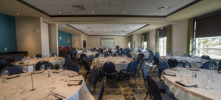 斯普鲁斯格罗夫智选假日套房酒店-斯托尼平原(Holiday Inn Express & Suites Spruce Grove - Stony Plain)图片