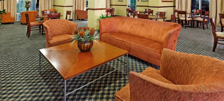 Holiday Inn Express & Suites TRINCITY特立尼达机场(Holiday Inn Express & Suites Trincity Trinidad Airport)图片